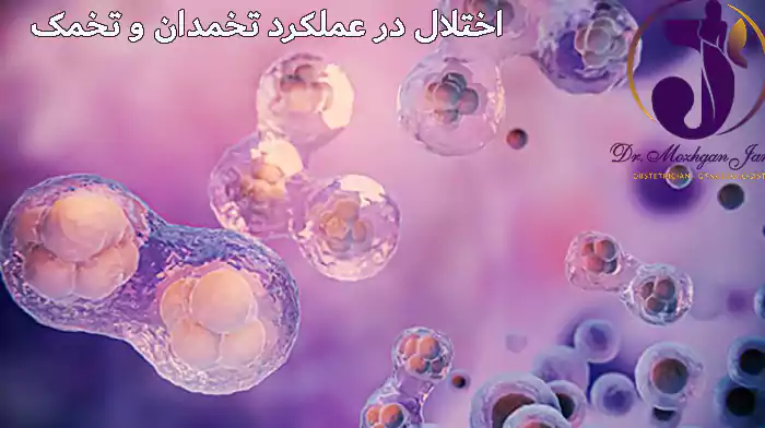  اختلال در عملکرد تخمدان و تخمک