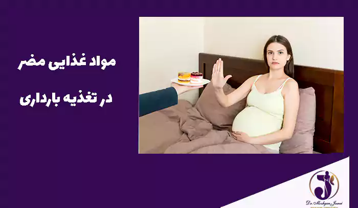 مواد غذایی مضر در تغذیه بارداری